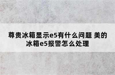 尊贵冰箱显示e5有什么问题 美的冰箱e5报警怎么处理